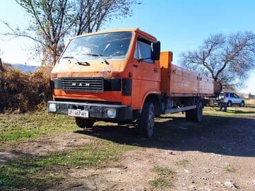 портер халадилник: Грузовик, MAN, Стандарт, Б/у — 1