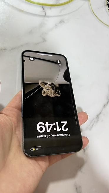 iphone 7 pro: IPhone 13 Pro, Б/у, 256 ГБ, Голубой, Чехол, 78 % — 3