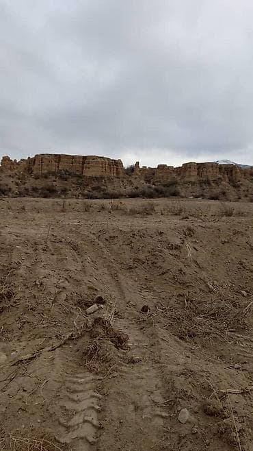 ысык куле: 100 соток, Бизнес үчүн, Кызыл китеп — 3