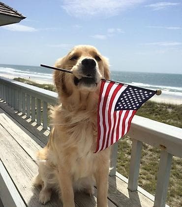 Языковые курсы Английский Для взрослых, Для детей