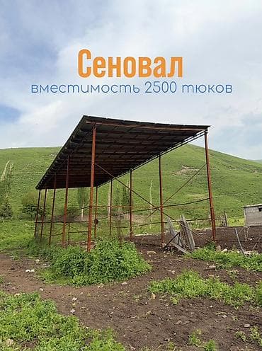 колоновидные яблони: Кошара, 100 соток, Действующий, Электричество — 4