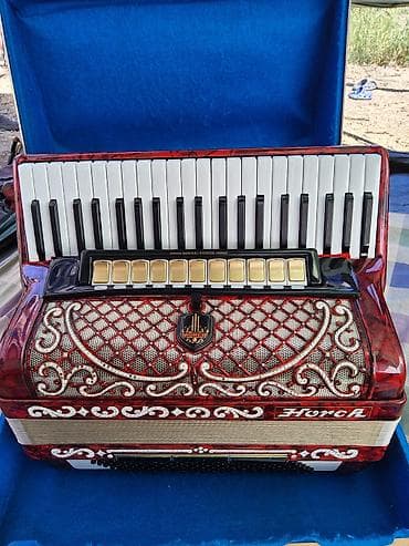 Музыкальные инструменты: Аккордеон Hohner (Horch), клавишный, европейского производства — 1