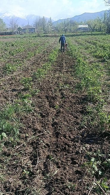 Услуга: механизированная обработка почвы мотоблоком -