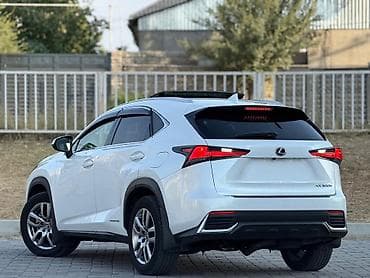 продается лексус: Lexus NX: 2020 г., 2.5 л, Автомат, Гибрид, Кроссовер — 5