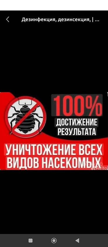 обувь женская 40: Дезинфекция, дезинсекция, | Муравьи, | Квартиры — 6