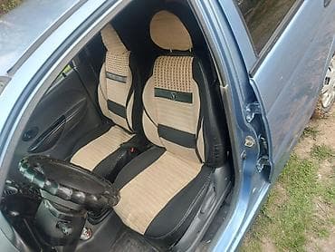 породы собак в бишкеке: Продаю | Овца (самка) | Для разведения | Матка — 5