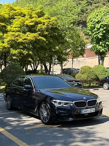 BMW 530: 2019 г., 2 л, Автомат, Бензин, Седан