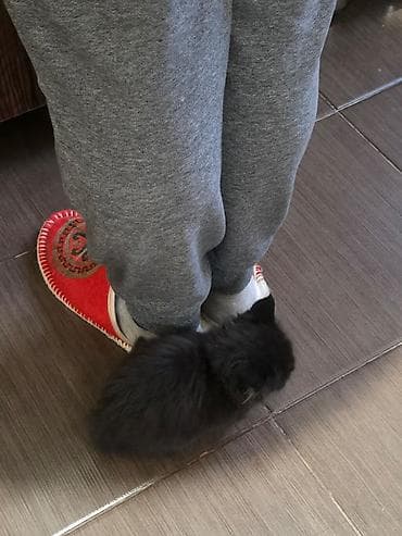 клетка доя хомяков: 1 месяц, Девочка — 5