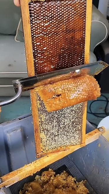 Соты с натуральным медом - Цельные рамки пчелиных сот, полностью — 4
