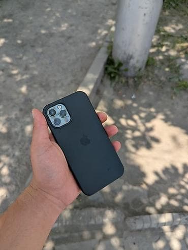 iphon 14: IPhone 12 Pro, Графит, Чехол — 2