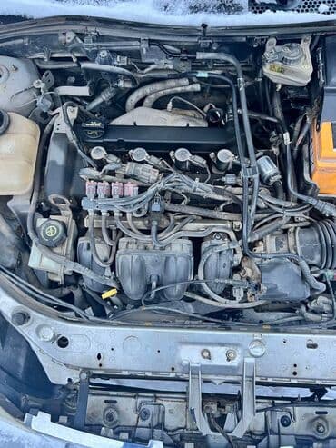 focus: Оригинальные контрактные б/у запчасти из Европы на Форд Фокус ЗХ 4 — 3