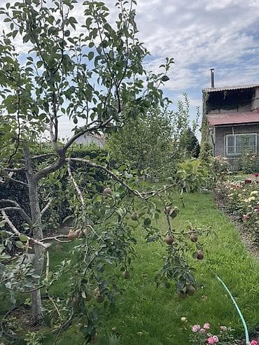 аренда асобняк: Продаётся загородный дом с благоустроенным участком. - Кирпичный — 6