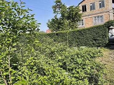 rich home: Продаётся дом с участком в зелёном, тихом месте. Основные — 3