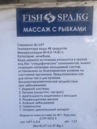 продается дом биримдик кут: Коттедж, КЕРЕМЕТСУУ Ананьево, Унаа токтотуучу жай, унаа туруучу жай, Коргоодогу аймак, Бассейн — 8