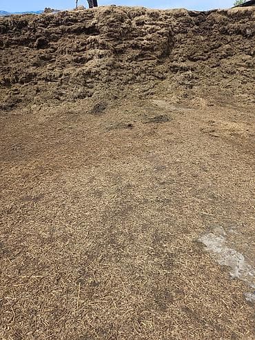жаныбарлар: Продаётся сенаж из люцерны — 50–60 тонн Качественный измельченный — 1