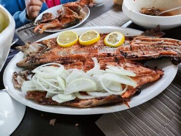 АРЕНДАГА ФАСТФУД ЖЕ СТОЛОВОЙ АЛАБЫЗ