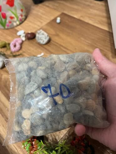 дом для птиц: В продаже 1 ракушки общий 200 сом Исскуственые растение по 35 Сомов — 6