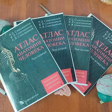 орт.нова.кж: Атлас Анатомии Человека Синельникова 1-4 тома: Том первый остеология — 1