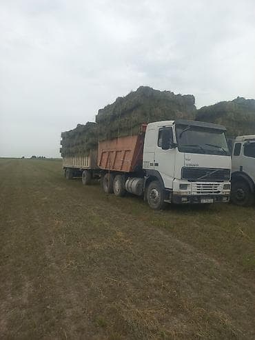 даф самасвал: Volvo 440: 1996 г., 10.7 л, Механика, Дизель — 3