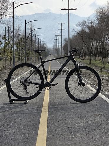 Горные велосипеды: Горный велосипед, Рама L (172 - 185 см), Карбон, Новый — 1