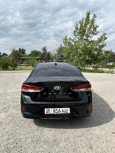 816: Hyundai Sonata: 2019 г., 2 л, Автомат, Газ, Седан — 5