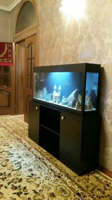 зоомагазин бишкек рядом: Террариумы для экзотических питомцев — 6