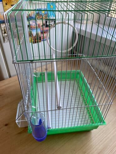 приют для животных бишкек телефон: Цена окончательная!!! Продаю новую большую клетку для попугаев — 1