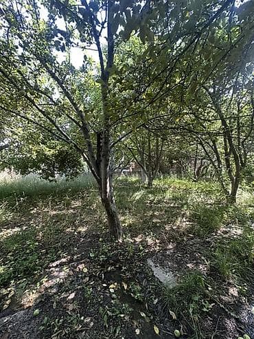 Продажа участков: 6 соток, Для строительства, Красная книга — 2