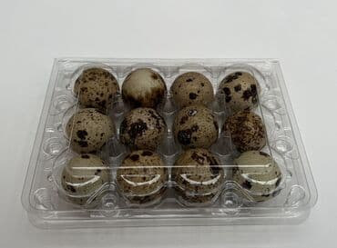 Перепелиные яйца: Перепелиные яйца в лотке: (Есть 12 штучный лоток и
