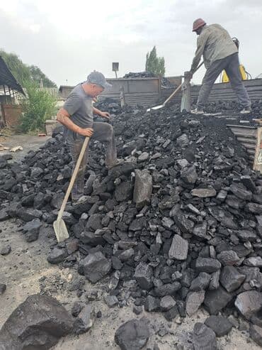 лучший китайский порошок для стирки: Сокулук Продаю Уголь Кара Кече Одборный — 2