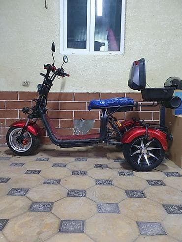Электрический трицикл Citycoco Trike X12 Pro - Формат: трехколесный