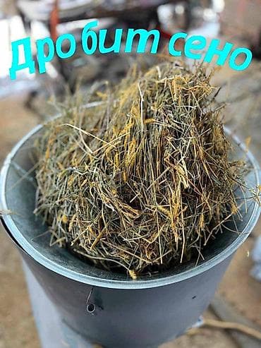 молочный машинка: Дробилки ☑️ Мульти дробилки 3 в одном 🌾 ☑️ Сенорезка ☑️ Зернорезка — 10