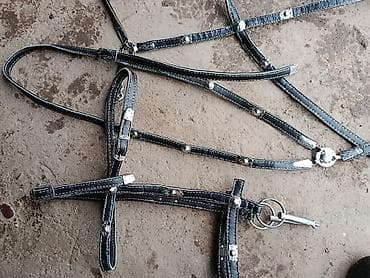 кожанная: Уздечка из черной кожи, украшенная серебристыми металлическими — 3