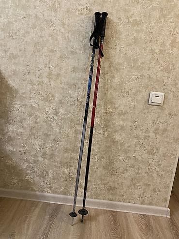 Спорт и хобби: Универсальные, С креплениями, Б/у — 1