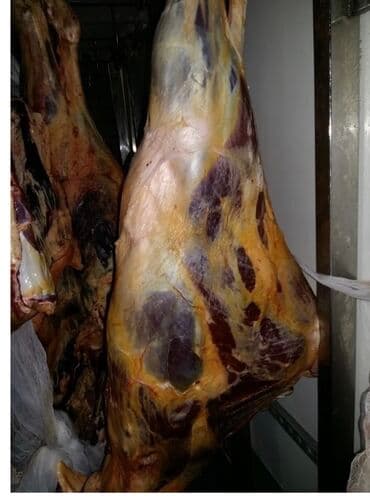 продаю в связи с переездом: Продаю | Корова (самка), Бык (самец), Тёлка — 2