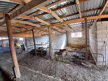 Коммерческая недвижимость: Farm КРС, 18 соток, Электричество — 6