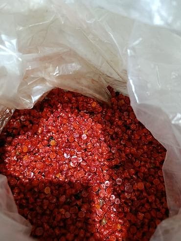 мраморное мясо бишкек цена: ПРОДАЮ.! Свечной воск в россыпи цветной для изготовления СВЕЧЕЙ — 3