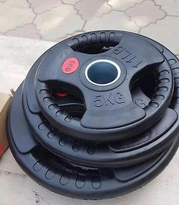 ninebot max plus: Блины для штанги - Вес: 1 кг 250 сом каждый - Посадочное отверстие — 1