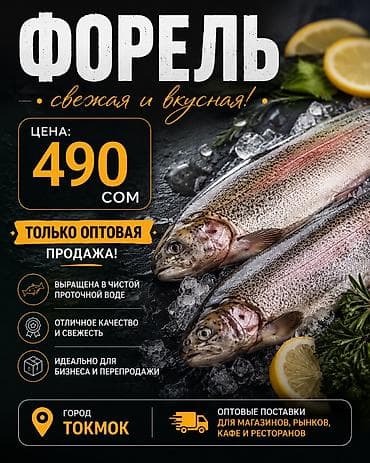 Только опт! Форель радужная, свежевыловленная из садков. - Вид at lalafo.kg Только опт! Форель радужная, свежевыловленная из садков. - Вид