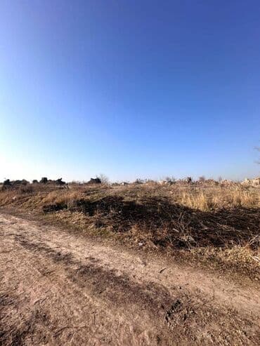 первомайское: 290 соток — 3