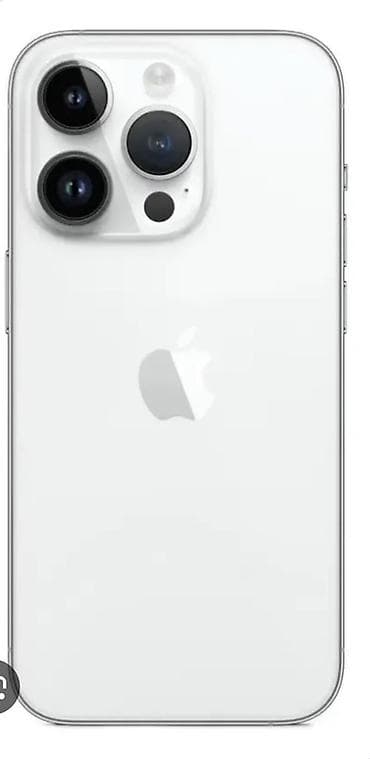 iphone 13 pro max 100: IPhone 13 Pro, Серебристый, Кабель — 1