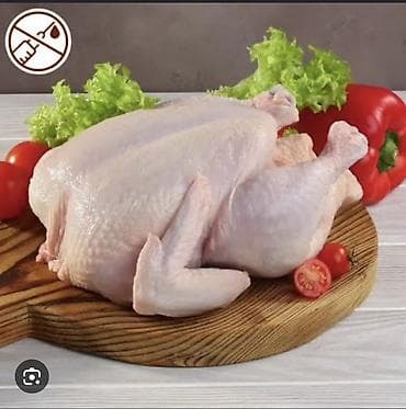 керме тоо: Продается свежее мясо бройлера Натуральный без химикатов домашний — 1