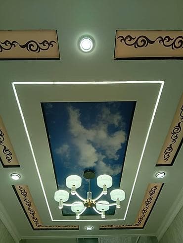 задний плафон на хонда одиссей: Потолочное оформление с подсветкой и фотопанелью «Небо» - — 1