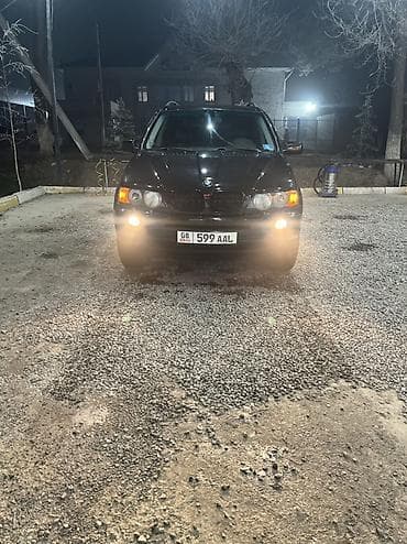 акмулятор авто: BMW X5: 2003 г., 3 л, Типтроник, Бензин, Кроссовер — 4