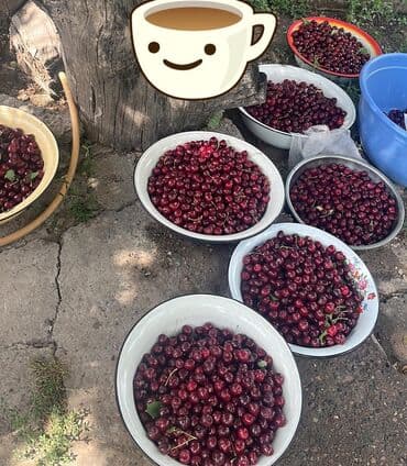 сокулук дом продажа: Дом, 95 м², 4 комнаты, Собственник, Старый ремонт — 13