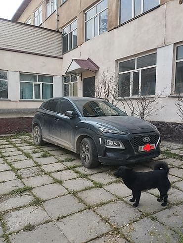мультируль: Hyundai Kona: 2019 г., 1.6 л, Автомат, Гибрид, Кроссовер — 5