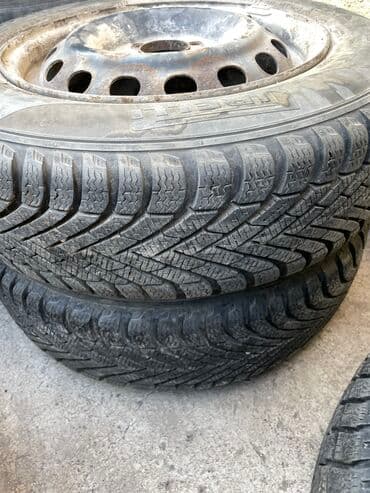 шины на рекс: Шины — 24