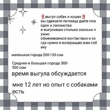 щенята даром: Услуга: выгул собак и кошек. - Вы надеваете на питомца поводок, даёте — 1