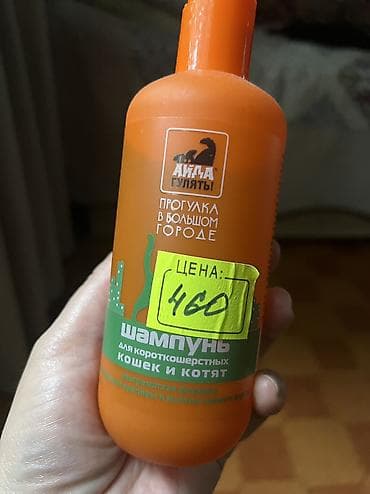 hayat шампунь: Шампунь для кошек новая продам — 1