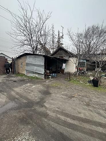 3: 29 соток, Красная книга — 10